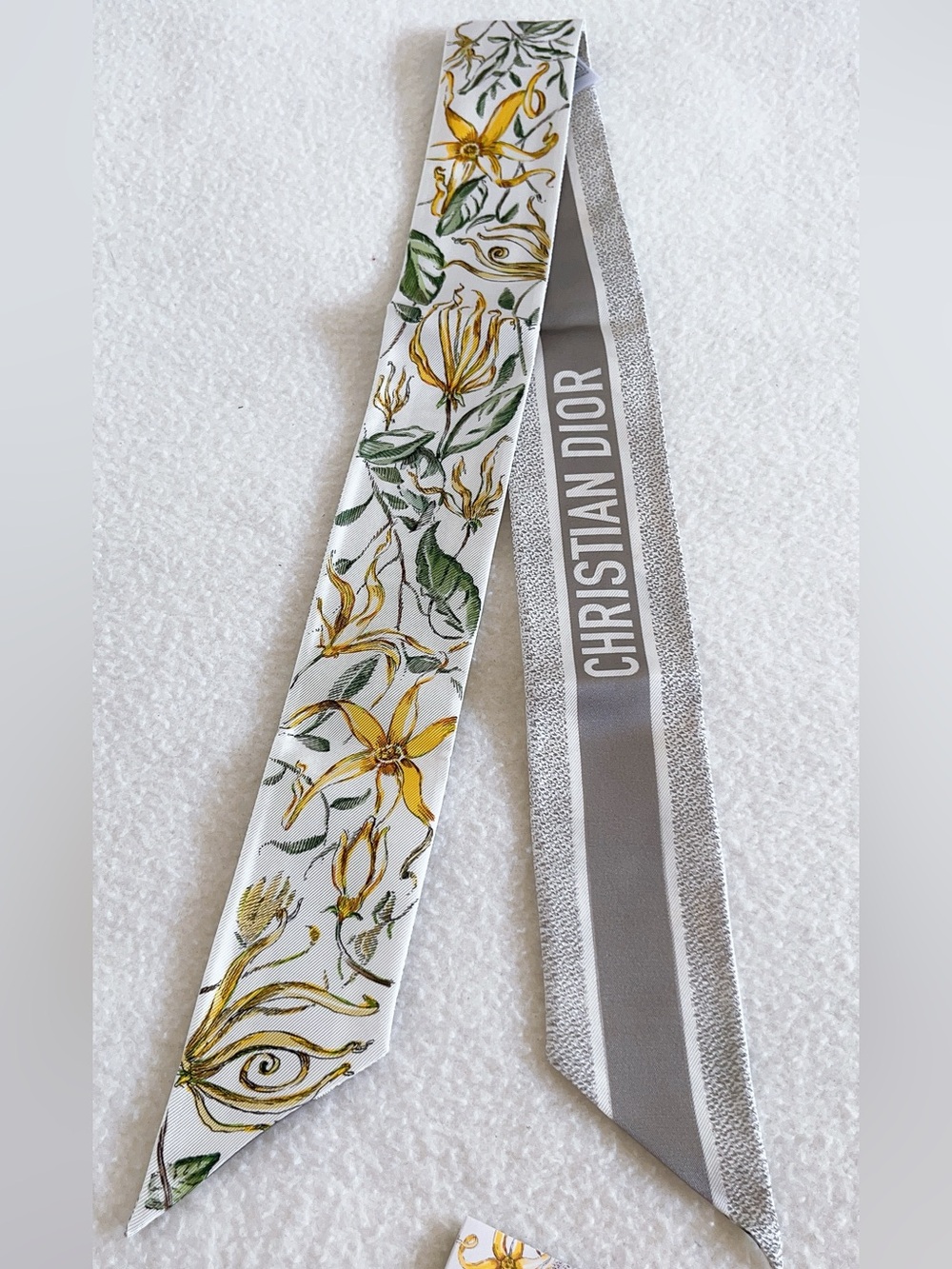 Dior Jardin D’hiver Mitzah Silk Scarf